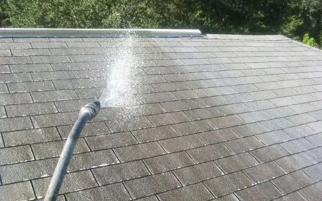 roof-tile-cleaning